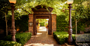 Charter Oak Winemaker Luncheon