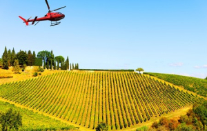 Helicopter & Hertelendy